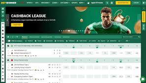 Comprehensive Insights into Affiliate Program Betwinner